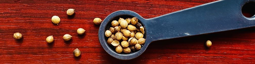 A Deep Dive Into The Unique Flavor of Coriander Seed