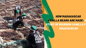 How Are Madagascar Vanilla Beans Made