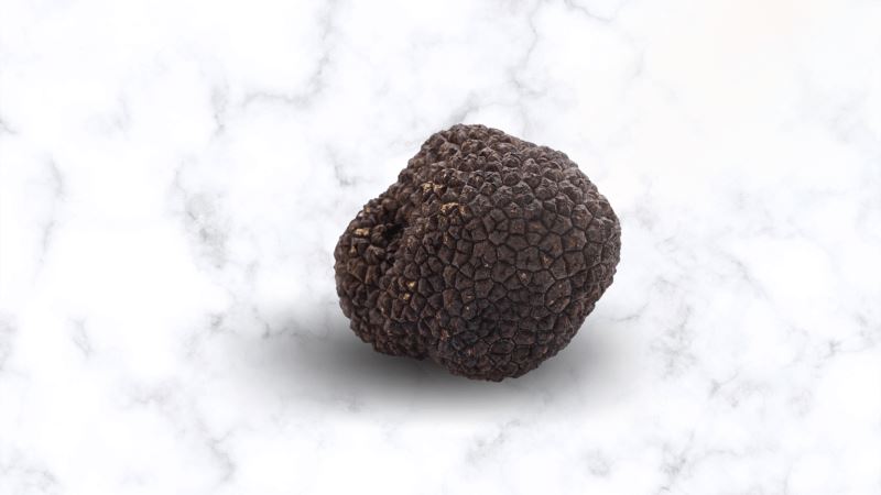 How Long Do Black Summer Truffles Last