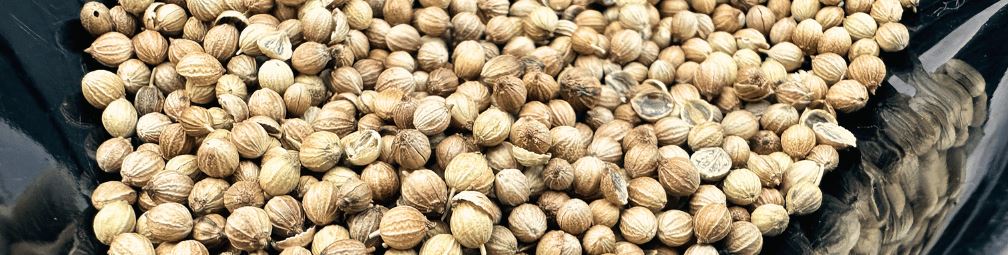 Is Dhaniya powder the same as coriander powder?