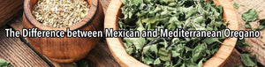 Mexican Oregano vs. Mediterranean Oregano: What’s the Difference?
