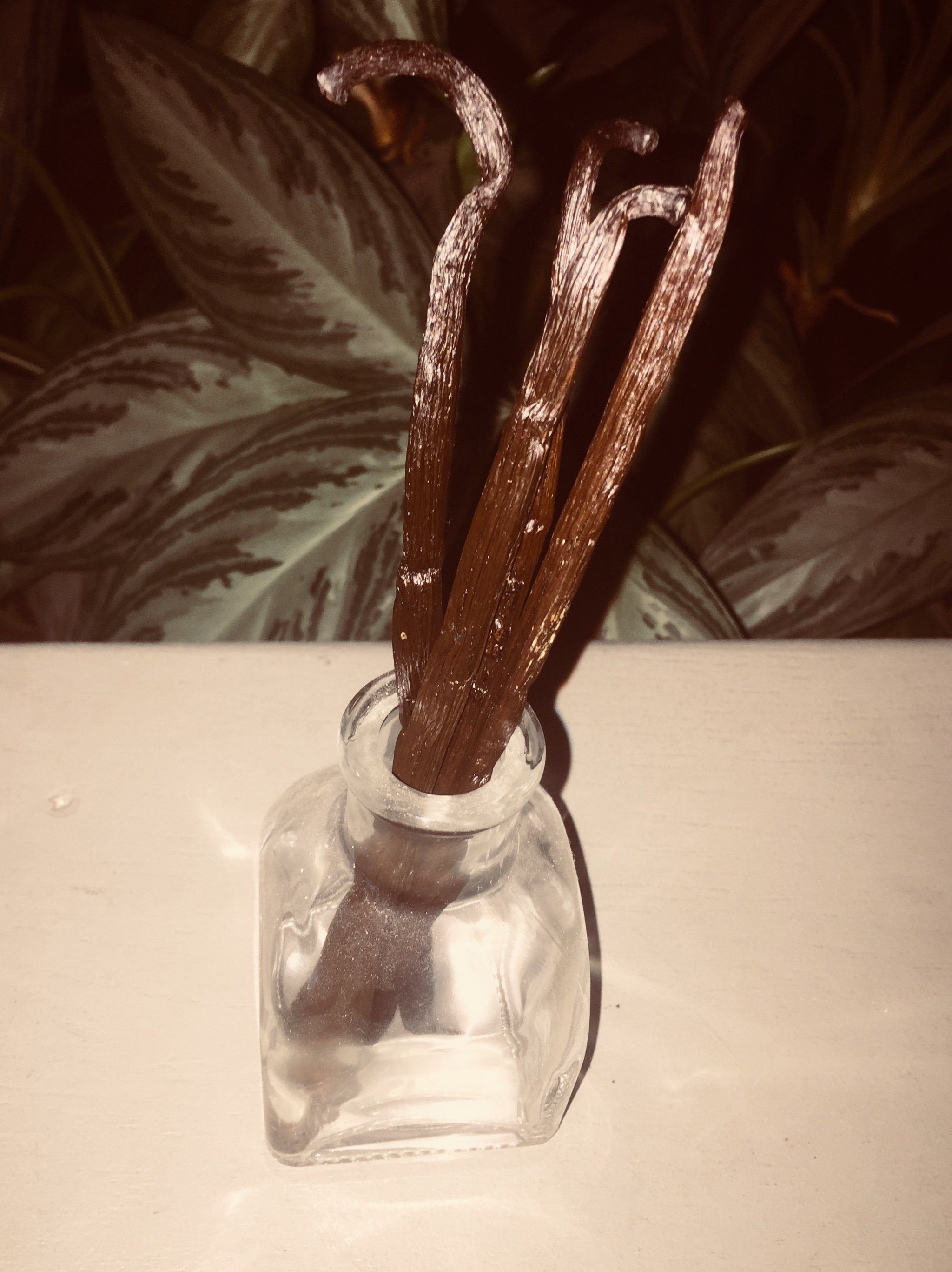 What Are The Best Vanilla Beans In The World?