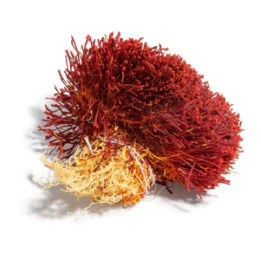 Saffron bundle also referred to as bunch saffron and image placeholder to spices and herb product product collection 