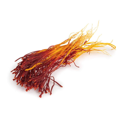 Bunch Saffron, Dasteh Saffron from Afghanistan spices Slofoodgroup