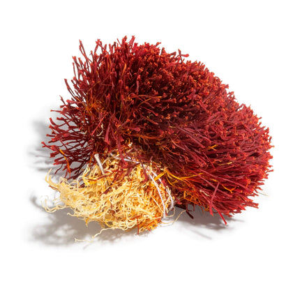 Bunch Saffron, Dasteh Saffron from Afghanistan spices Slofoodgroup 7 grams
