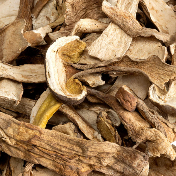 Dried Porcini Mushrooms For Sale Buy Bulk Porcini Mushrooms