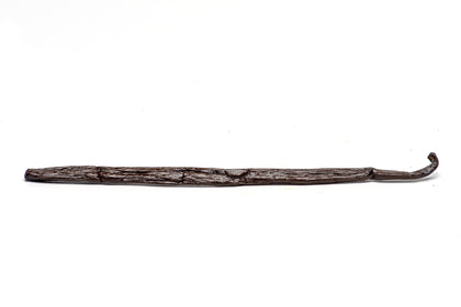 Extra Long Madagascar Vanilla, Planifolia vanilla bean Slofoodgroup 1 bean