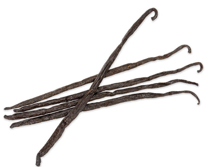 Extra Long Madagascar Vanilla, Planifolia vanilla bean Slofoodgroup 5 beans