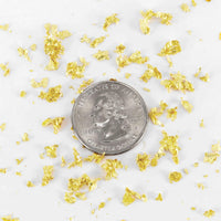 Gold Flakes - Edible Gold Leaf Flakes for Garnishing and Decoration Metal leaf Slofoodgroup