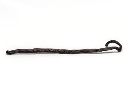 Gourmet Madagascar Vanilla Beans, Planifolia vanilla bean Slofoodgroup 1 bean
