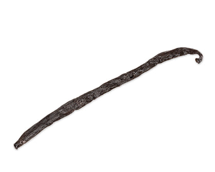 Gourmet Pompona Vanilla Beans, Costa Rica vanilla bean Slofoodgroup 1 Bean