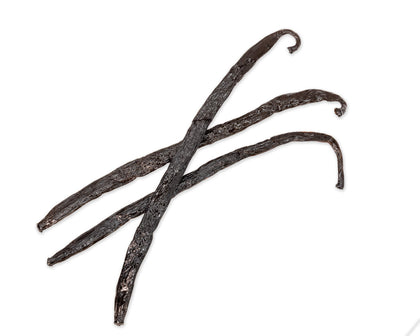 Gourmet Pompona Vanilla Beans, Costa Rica vanilla bean Slofoodgroup 3 Beans
