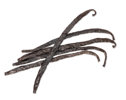 Gourmet Pompona Vanilla Beans, Costa Rica vanilla bean Slofoodgroup 5 Beans