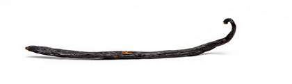 Gourmet Sri Lankan Vanilla Beans, Planifolia vanilla bean Slofoodgroup 1 Bean