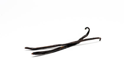 Gourmet Sri Lankan Vanilla Beans, Planifolia vanilla bean Slofoodgroup