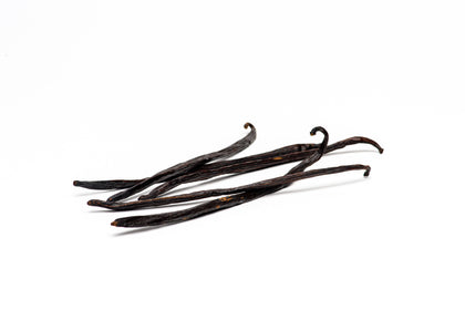 Gourmet Sri Lankan Vanilla Beans, Planifolia vanilla bean Slofoodgroup 5 Beans