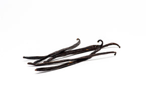 Gourmet Sri Lankan Vanilla Beans, Planifolia vanilla bean Slofoodgroup 5 Beans