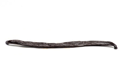 Gourmet Tahitian Vanilla Beans, Tahitensis vanilla bean Slofoodgroup 1 bean