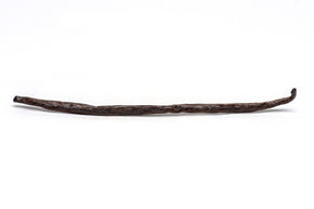 Gourmet Ugandan Vanilla Beans, Planifolia vanilla bean Slofoodgroup 1 bean