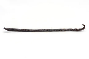 Gourmet Vanilla Beans Papua New Guinea, Tahitensis vanilla bean Slofoodgroup 1 bean