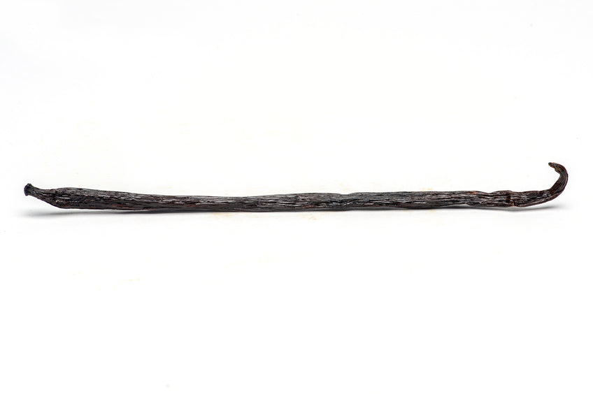 Gourmet Vanilla Beans Papua New Guinea, Tahitensis vanilla bean Slofoodgroup 1 bean