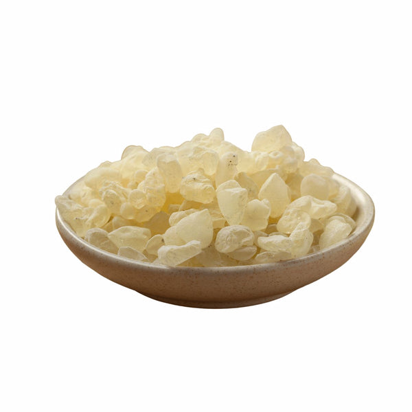 Mastic Tears – Chios Mastic Chewing Gum – Jotunheim Nutrition