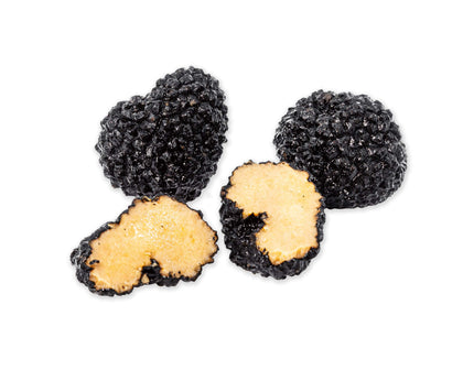 Preserved Black Summer Truffles dried mushrooms Slofoodgroup