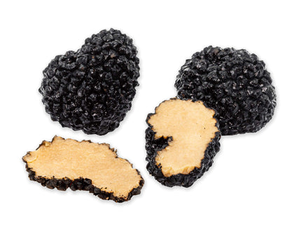 Preserved Black Summer Truffles dried mushrooms Slofoodgroup