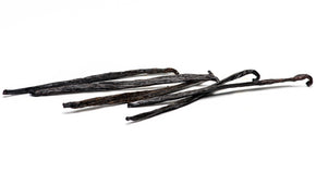 Short Vanilla Beans, Papua New Guinea vanilla products Slofoodgroup