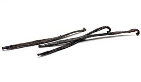 Short Vanilla Beans, Papua New Guinea vanilla products Slofoodgroup