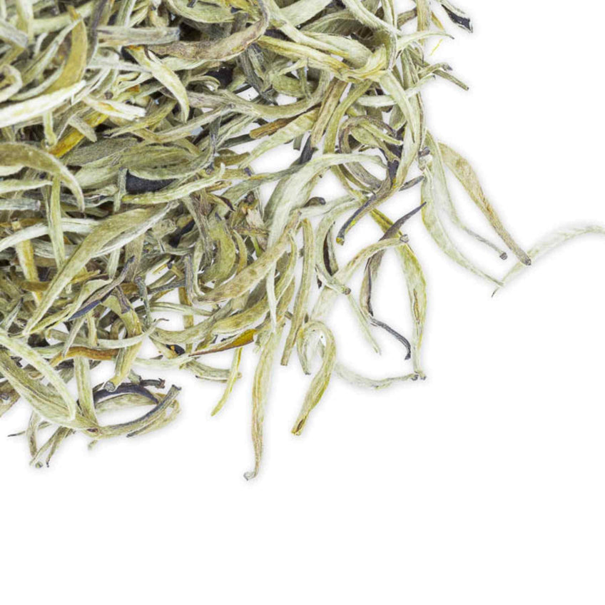Silver Tip White Tea Tea & Infusions Slofoodgroup