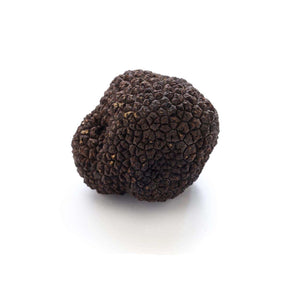 Summer Black Truffles, Tuber Aestium truffle Slofoodgroup 4 oz