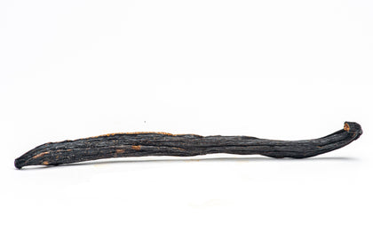 Vanilla Pompona, Peruvian vanilla bean Slofoodgroup 1 bean