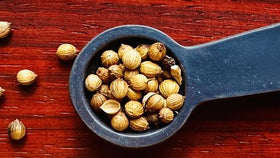 A Deep Dive Into The Unique Flavor of Coriander Seed