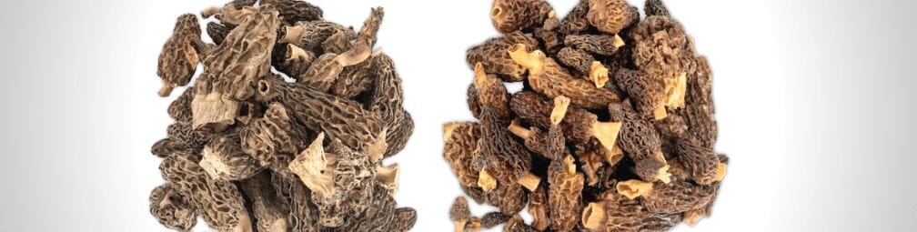Are Dried Morel Mushrooms As Good As Fresh