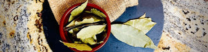 Bay Leaf Benefits