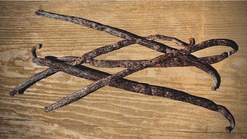 Can You Grown Your Own Vanilla?