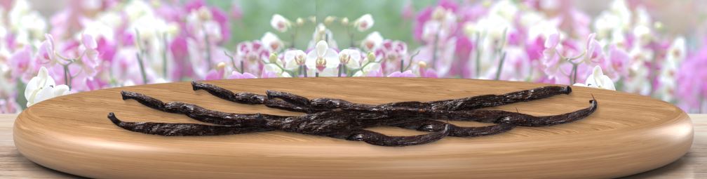Do All Orchids Produce Vanilla Beans?
