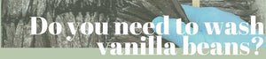 Do you need to wash vanilla beans?