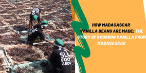 How Are Madagascar Vanilla Beans Made