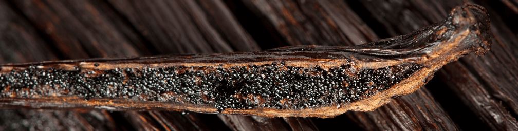 How Do You Use Gourmet Vanilla Beans