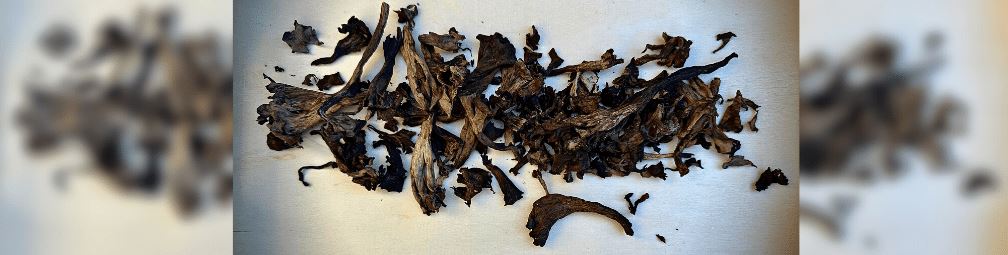 How Much Are Black Trumpet Mushrooms Worth?