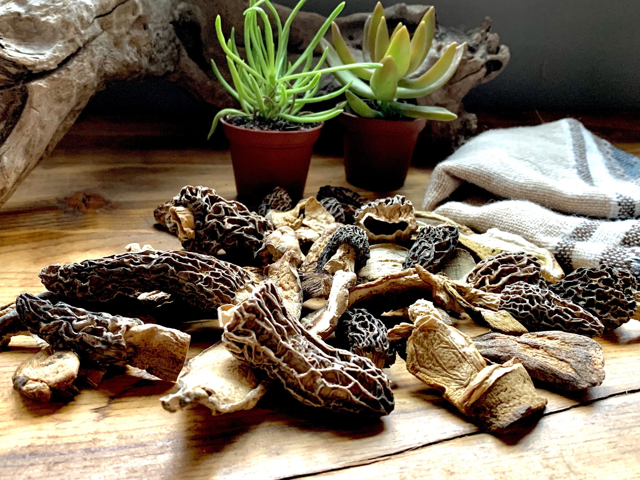 How to Work with Dried Mushrooms