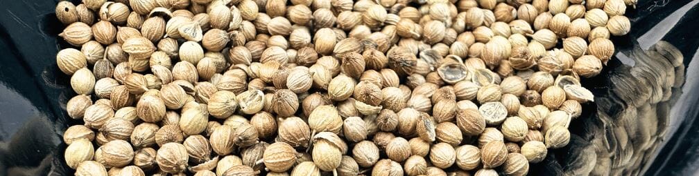 Is Dhaniya powder the same as coriander powder?