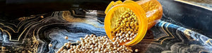 Medicinal Benefits of Coriander Seeds