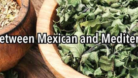 Mexican Oregano vs. Mediterranean Oregano: What’s the Difference?