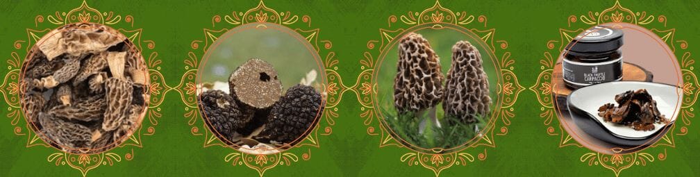 Using Morels And Truffles In Cooking Using Morels And Truffles In Cooking