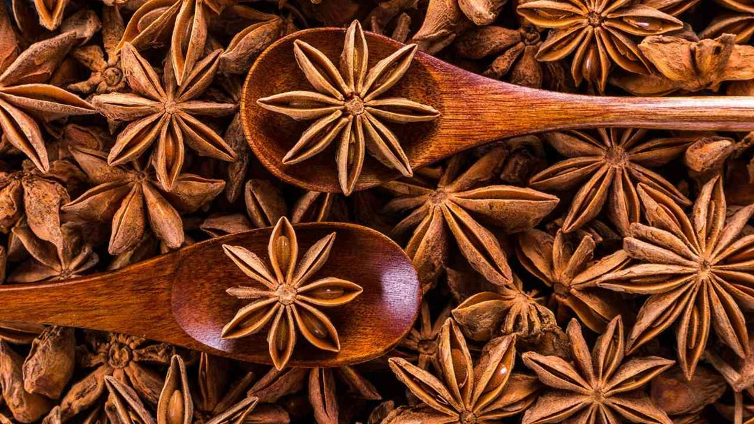 Star Anise Health Benefits, How To Use It and Where It Comes From