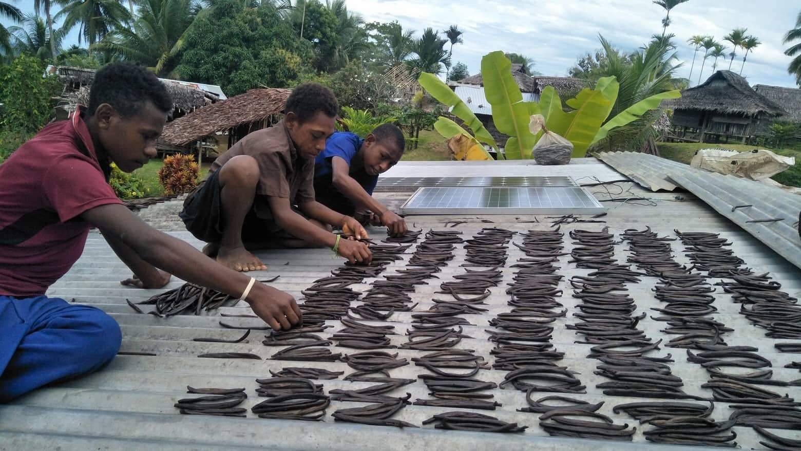 The less heard of Tahitian Vanilla Bean from Papua New Guinea