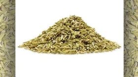 The Medicinal Benefits of Fennel Seed